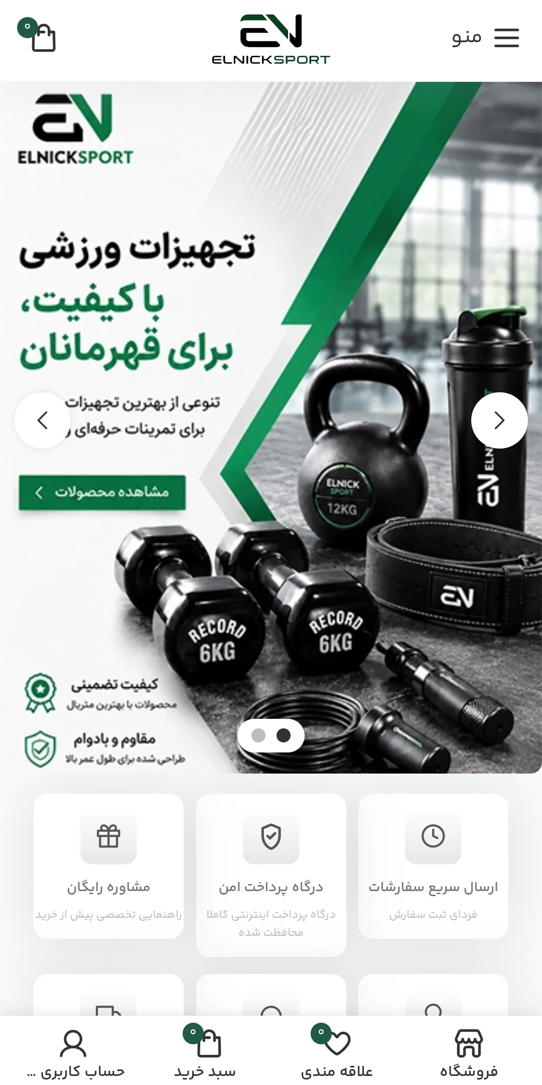 نمونه کار طراحی سایت النیک اسپورت